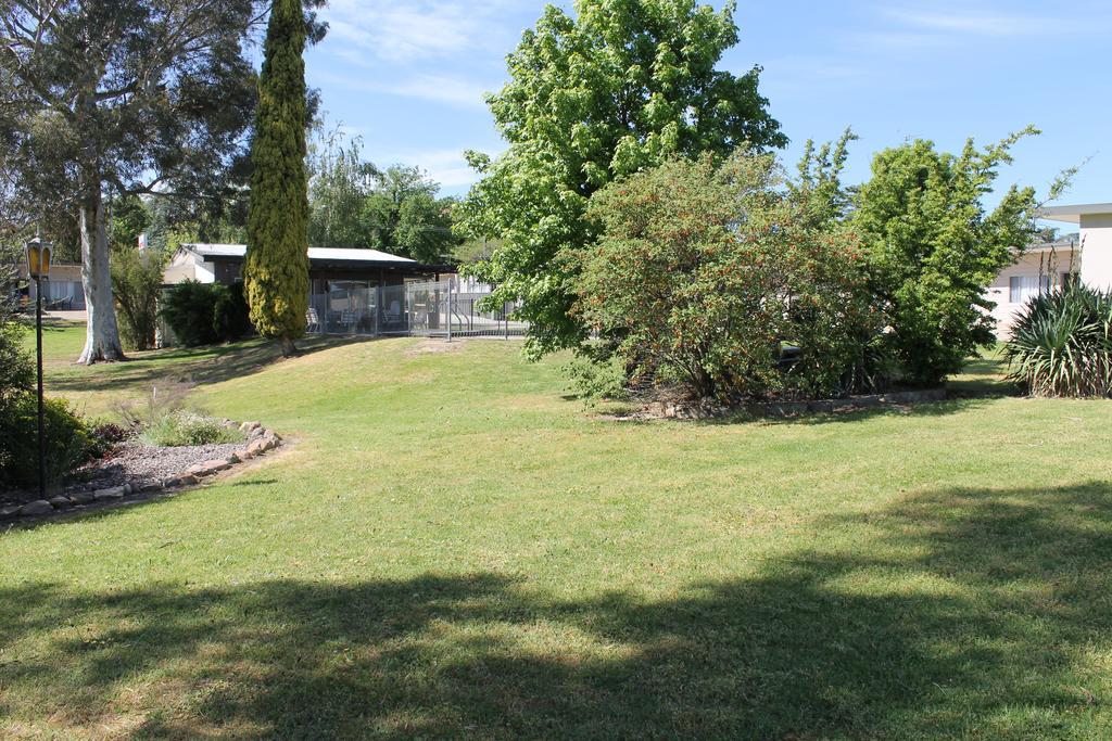 Mountain View Motel Corryong Buitenkant foto