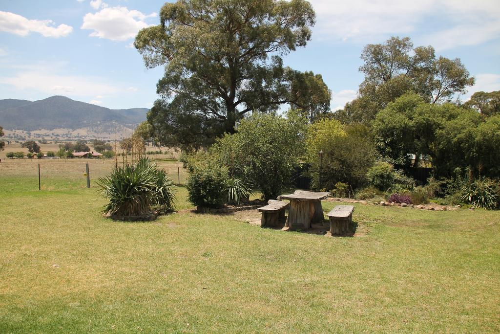 Mountain View Motel Corryong Buitenkant foto