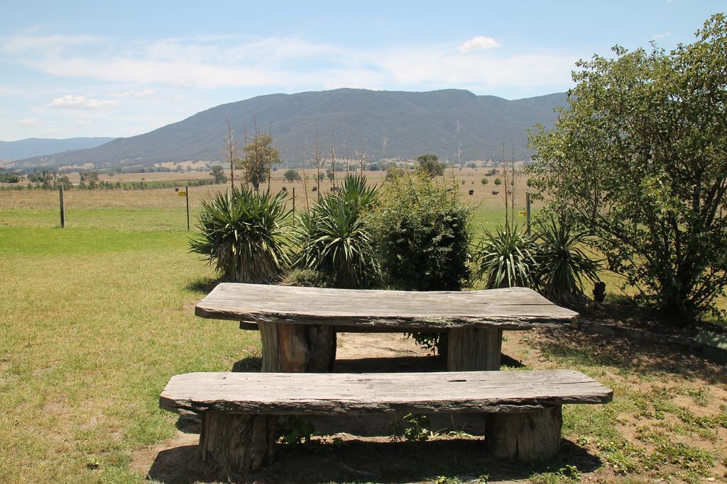 Mountain View Motel Corryong Buitenkant foto